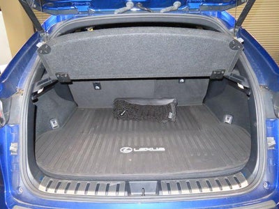 2020 Lexus NX NX 300 F SPORT