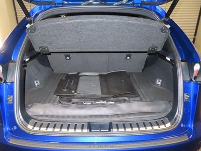 2020 Lexus NX NX 300 F SPORT